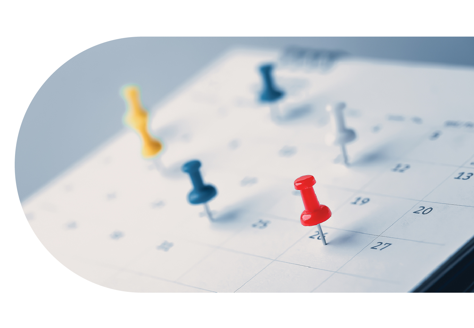 calendar with pins on various dates